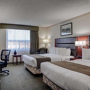 Queen Suite